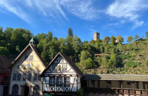 Apartment Schwarzwald-Anni Pool Tennis Sauna - Foto 59