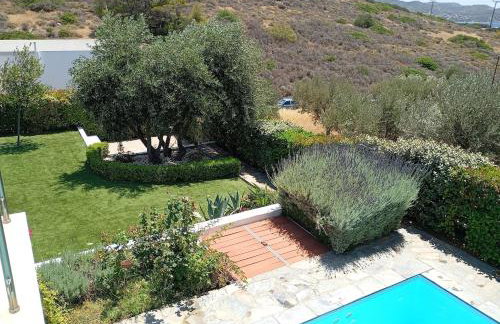 Anemelia & Helios Studio - Foto 29