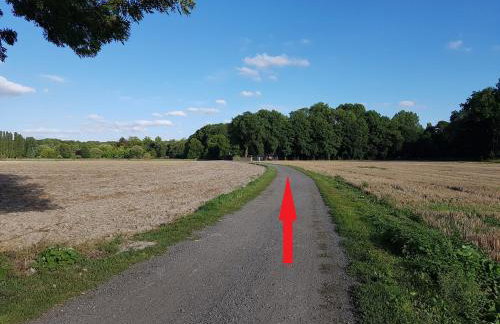 Chalet au Coeur de Foret Gouvieux - Foto 28