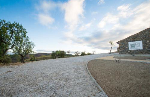 Desafios da Horta - Foto 10