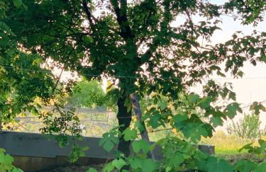 Cozy Chalet in Castell'Arquato 90 m² with Private Pool - Foto 44