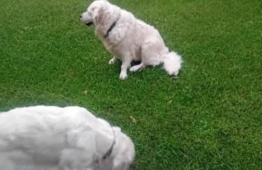 Meteora Grande luxury suite & spa villa - Foto 66