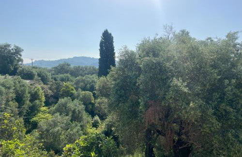 BugenVilla - South Corfu house - Foto 15