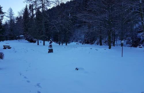 Alpine Escape in Wildemann - Foto 78