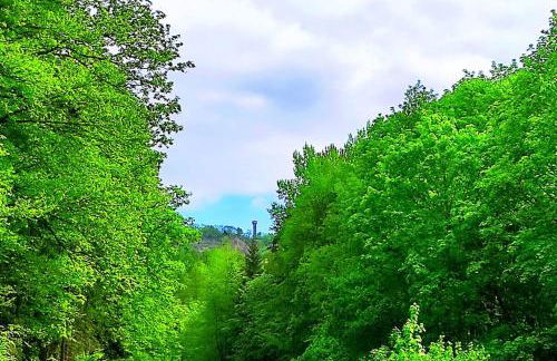 cosyTinyhouse Großburschla - Foto 21