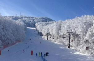 Casa Dante - Foto 31