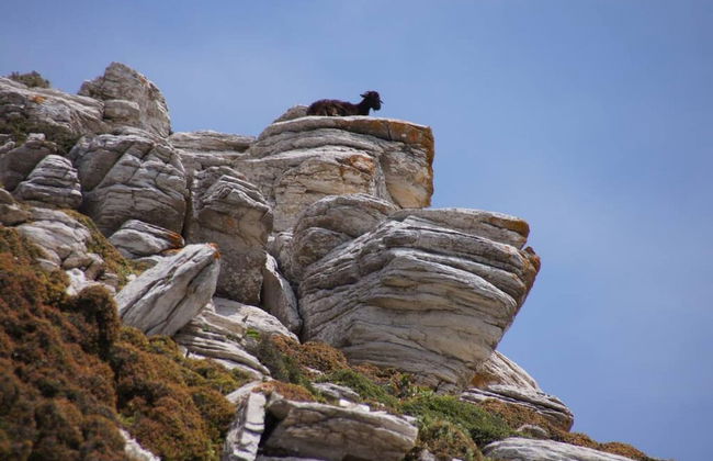 Giannakis Filoxenia - Foto 46