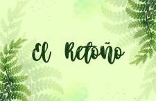 El Retoño - Photo 3