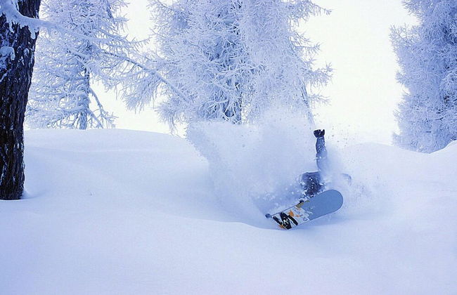 FERIENHAUS-TOELDERERHOF - Foto 10