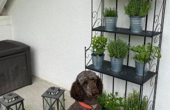 Apartment Taunustraum by Interhome - Foto 8