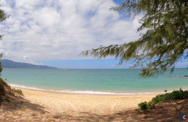 Hawaiian Dream Temple - Foto 28