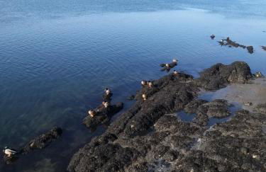 Casa dos Pescadores - Foto 38