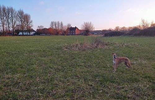 The Cheesehouse - Seven ensuite bedrooms - Foto 9