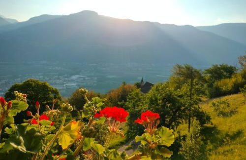 Georgenhöhe - Photo 55