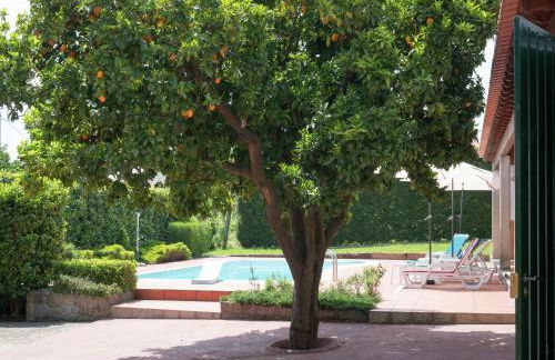 Holiday Home in Arcozelo with Private Pool - Photo 25