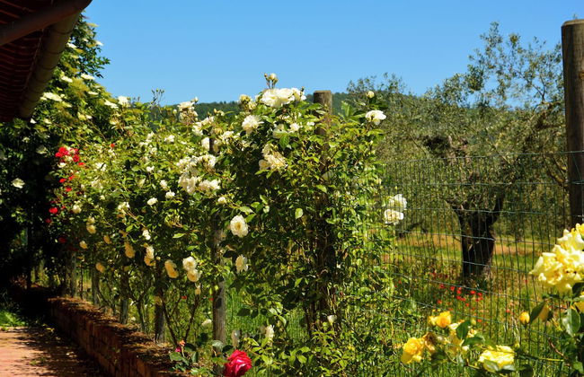 La Fraschetta - Foto 49