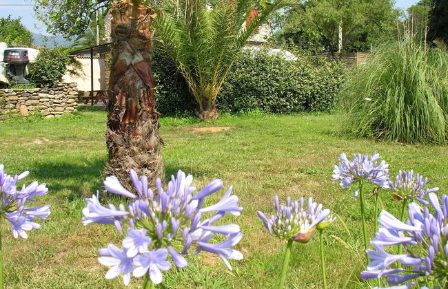 Villa in Moriani-plage Near Sandy Beach - Foto 23