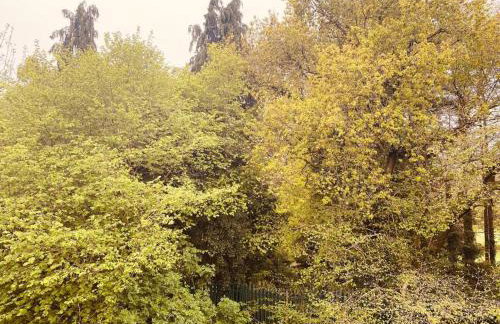 Comfy House with Parking for Multiple Vehicles - Foto 12