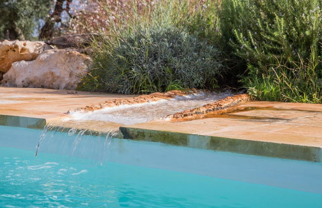 Azienda Agricola Spirdo - Foto 14