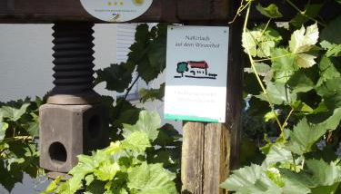 Bed & Breakfast Sandra Müller - Photo 5