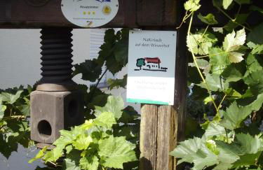 Bed & Breakfast Sandra Müller - Foto 5