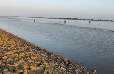 Ferienhuus Tüütje - Photo 24