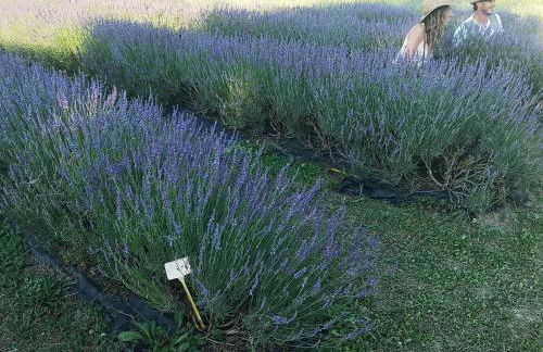 Alloggio Turistico Gasparrini - Foto 29