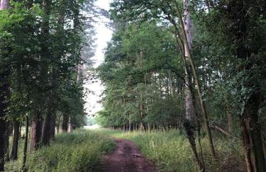 Nightjar Lodge - Adults Only - Foto 12