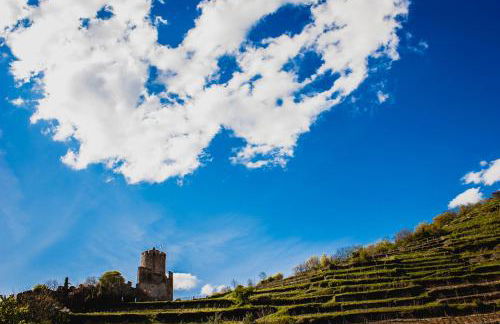 Appartement Jeanne - Foto 11