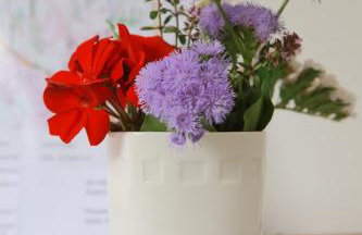 Kleines Gartenhaus - Foto 13