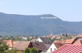 Locations Vacances Obernai Studio - Foto 18