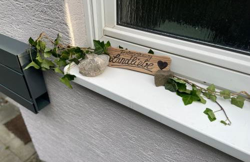 Fewo Landliebe - Foto 30