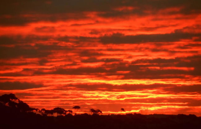 Tennessee Hill Chalets - Foto 25