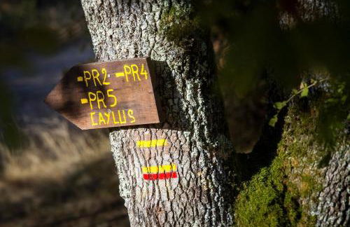 Du Levant au Couchant - 2 gîtes mitoyens à Caylus - Piscine - Jardin - 5 chambres - 12 personnes - 5 minutes du village médiéval - Foto 48