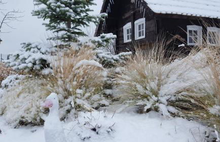 Spreewaldhaus zum Schoberplatz - Foto 27