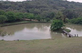 Natureza, paz no sítio - Foto 15