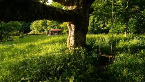 Luxury Off-Grid Cabin with Outdoor Bath in Scotland - Foto 2