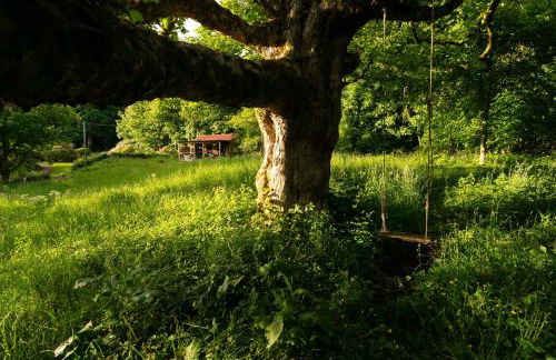 Luxury Off-Grid Cabin with Outdoor Bath in Scotland - Foto 2