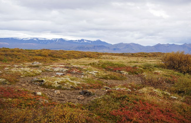 Hestaland Riverside Cottage - Foto 27