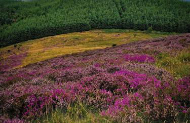 Beachside - Stunning sea view townhouse across the road from the beach - Foto 38