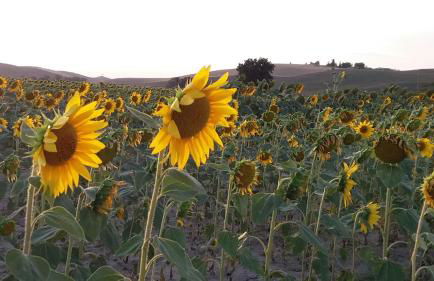 Casa dei Borghi - Foto 31