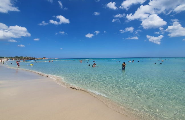 S2 1km From the Beach Mansoura Kelibia - Foto 10