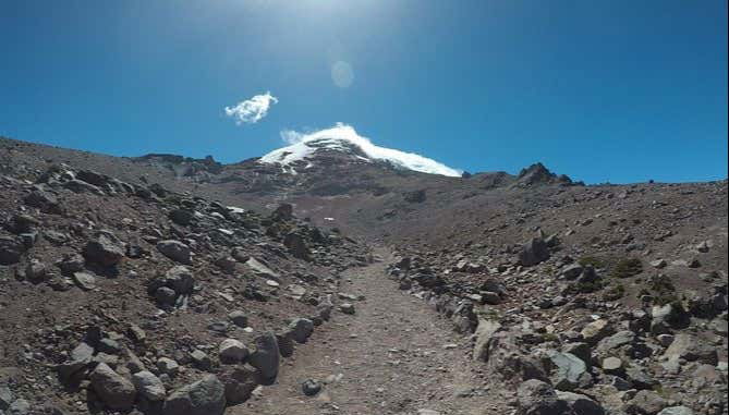 Chimborazo Volcano Trip + Balbanera Church - Foto 1
