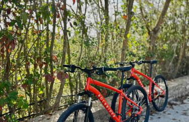 Villa Serenità - Foto 19