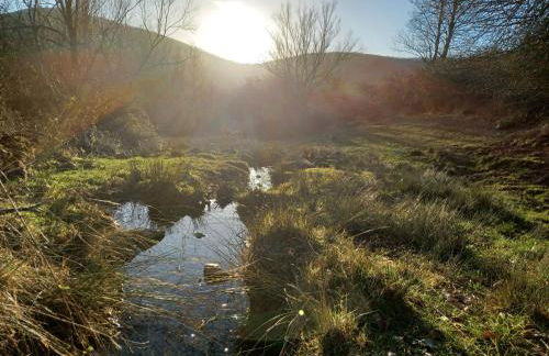 Casa Rural Sensaciones 3 dormitorios con jardin - Photo 11