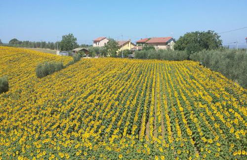 Rustic Charm, Modern Comfort - Foto 11