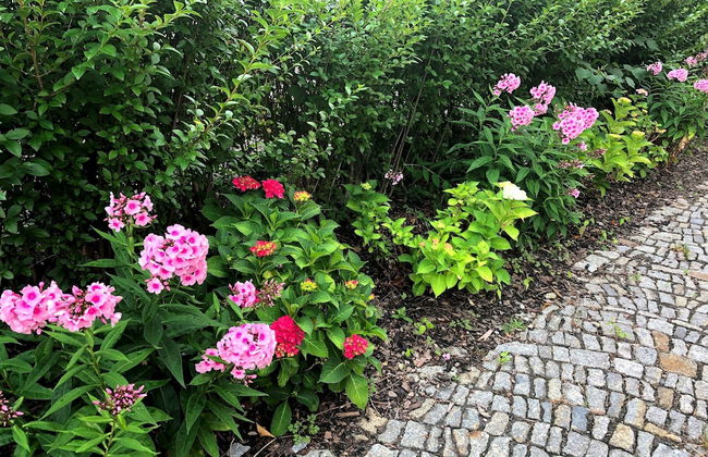 Apartment on the Elbe Ferry - Apartment for 2 - 3 People - Photo 32