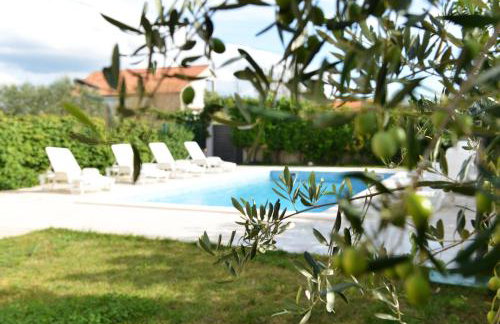 Villa Zvizda - Photo 19