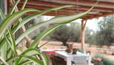 La Cuadra de Finca Don Carmelo - Foto 5