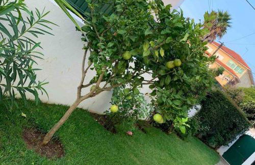 Maison de la marina piscine - Foto 32